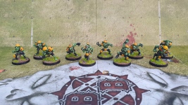 Blood Bowl Goblins