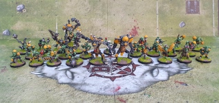 Goblin Blood Bowl team