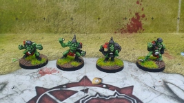 Blood Bowl Goblins